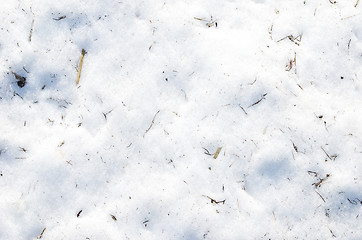 Image showing snow background