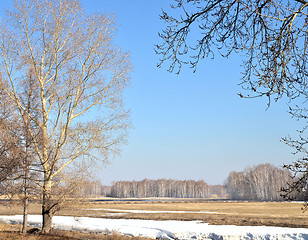 Image showing spring