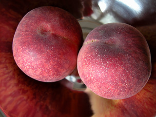 Image showing peaches