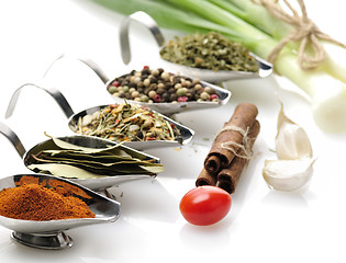 Image showing Spices