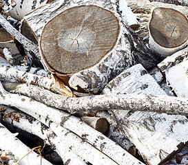 Image showing firewood