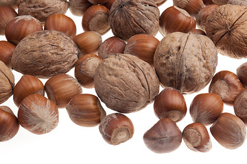 Image showing Nuts