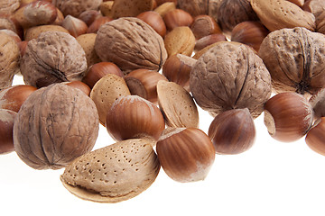 Image showing Nuts