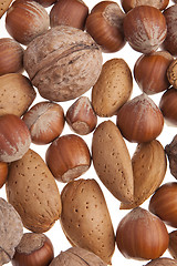 Image showing Nuts