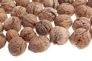 Image showing Walnuts