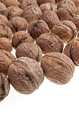 Image showing Walnuts