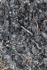 Image showing charcoal. extinguished bonfire