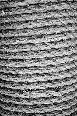 Image showing Rope Texture