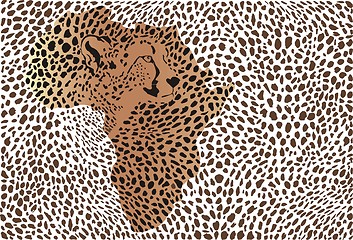 Image showing Abstract background of the African cheetah