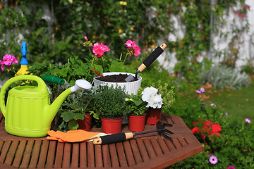 Image showing planting flowers with garden tools ,various flowers and herbs in