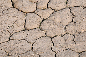 Image showing Cracked Soil in Kazakhstan