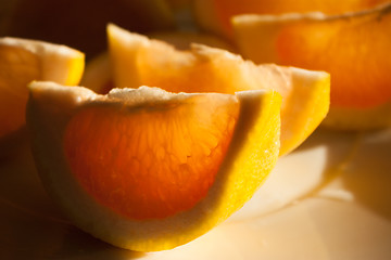 Image showing Freshly harvested grapefruit on plate