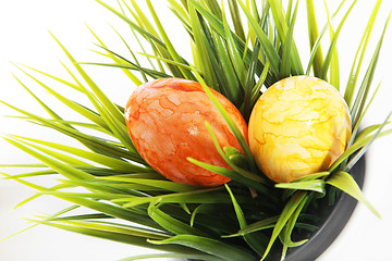 Image showing Marbled Easter Eggs on green grass