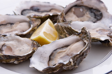 Image showing Oysters and Lemon