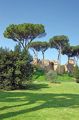 Image showing Palatine Hill in Rome