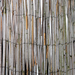 Image showing Dried bamboo fence