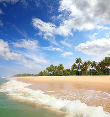 Image showing beautiful beach landscape