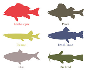 Image showing North American food fish