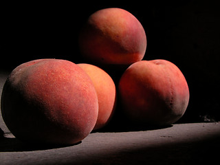 Image showing peaches