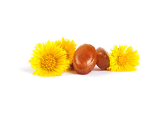 Image showing Cough drops with coltsfoot flowers