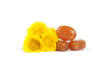 Image showing Cough drops with coltsfoot flowers