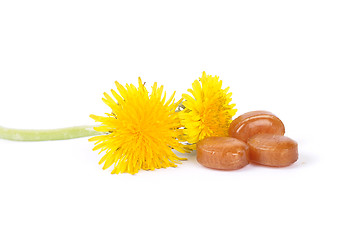 Image showing Cough drops with dandelion flowers