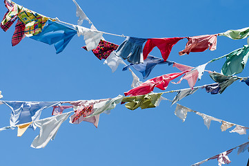 Image showing A group of colored shirts on a clothesline