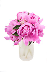 Image showing Pink peony