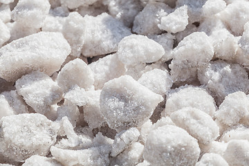 Image showing Crystals of sea salt