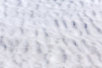 Image showing snow