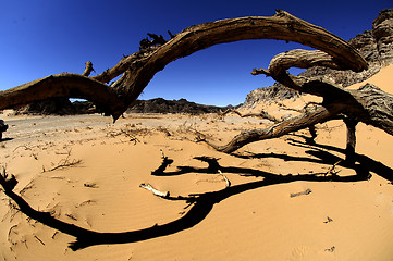 Image showing Jebel Uwaynat