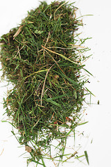 Image showing Small pile of green grass