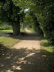 Image showing Woodland walk