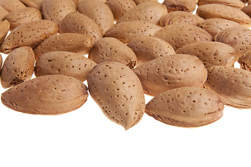 Image showing Almonds