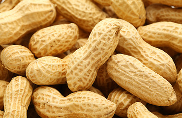 Image showing peanut