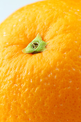Image showing orange peel close up