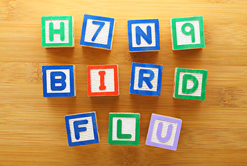 Image showing H7N9 bird flu toy block