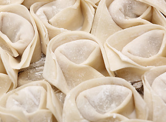 Image showing homemade meat dumpling