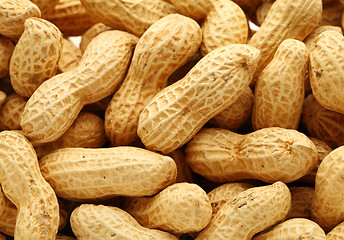 Image showing peanut