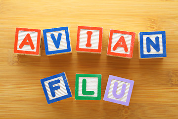 Image showing Avian flu toy block