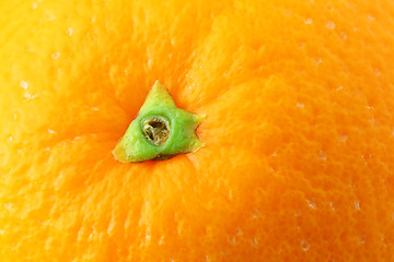 Image showing orange peel close up