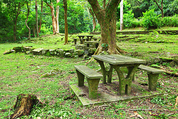 Image showing picnic place