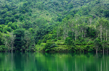 Image showing lake in forest