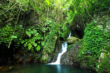 Image showing waterfall in forest