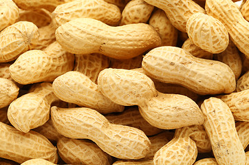 Image showing peanut