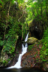 Image showing waterfall in forest