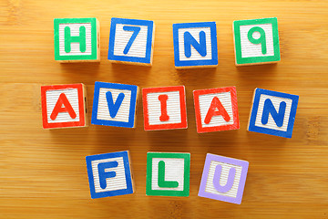 Image showing H7N9 bird flu toy block