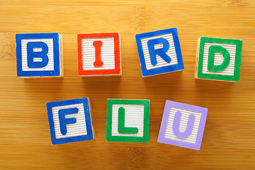 Image showing H7N9 bird flu toy block