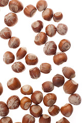 Image showing Hazelnuts