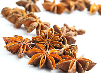 Image showing Stars anise